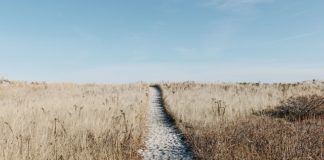 Emiraty Arabskie dla wymagających turystów