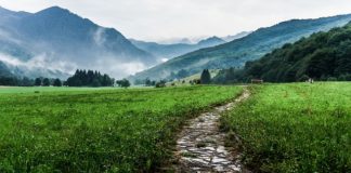 Święta Lipka – Częstochowa Północy