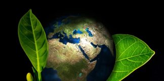 Rozmieszczenie i plan osiedli