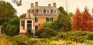 Zalety drzwi z drewna