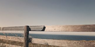 Rodzaje farb do wnętrz