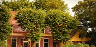 Czy warto wydawać pieniądze na ogrodzenia