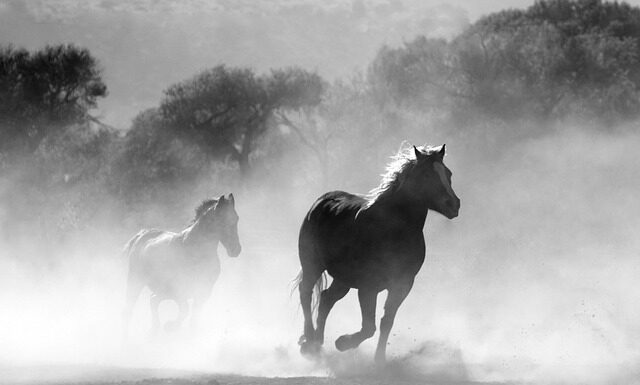 Czy można palić orzechami?
