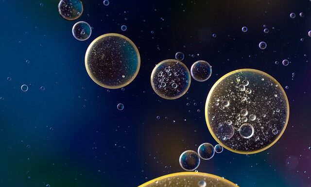 Na jakim oleju smażyć warzywa? Na jakim oleju smażyć warzywa?