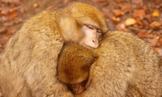 Jak grzać w bloku żeby nie płacić? Jak grzać w bloku żeby nie płacić?