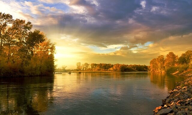 Dlaczego liście orzecha nie nadają się na kompost?