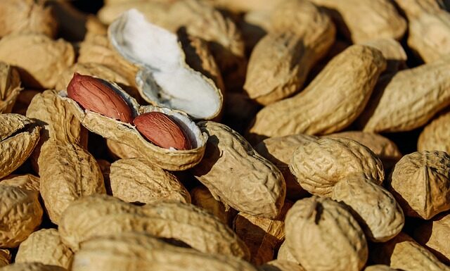 Jak się piec orzeszki na patelni? Jak się piec orzeszki na patelni?