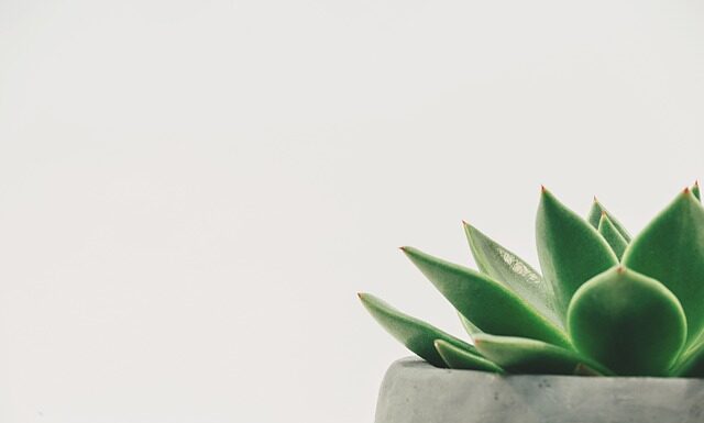 Jaka może być minimalna temperatura w domu?