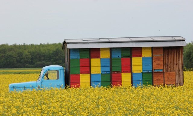 Czy ule trzeba trzymać w lodówce?