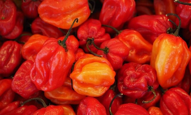 Jak się czyta habanero? Jak się czyta habanero?