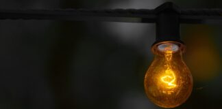 Co ile wymieniać żarówkę UVB w terrarium?