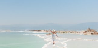 Ile soli do pikli?