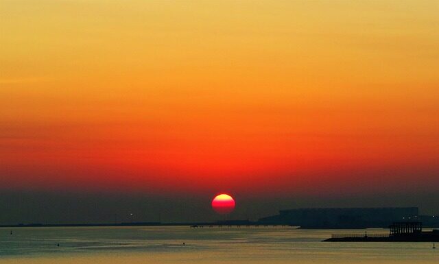 Dlaczego warto jeść orzechy włoskie?