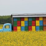 Jak się robi ule? Jak się robi ule?