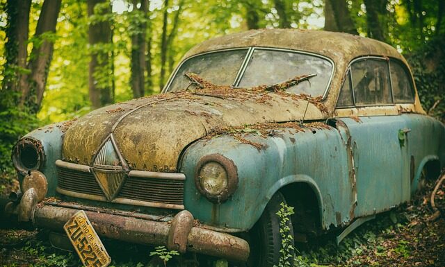 Jakie orzechy na pamięć?