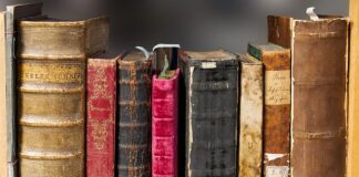 Czy trzeba mieć pokrywę w akwarium?