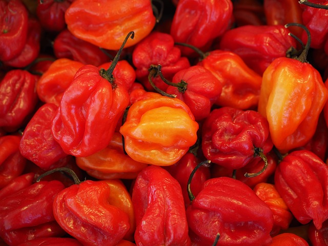 Ile SHU ma Habanero? Ile SHU ma Habanero?