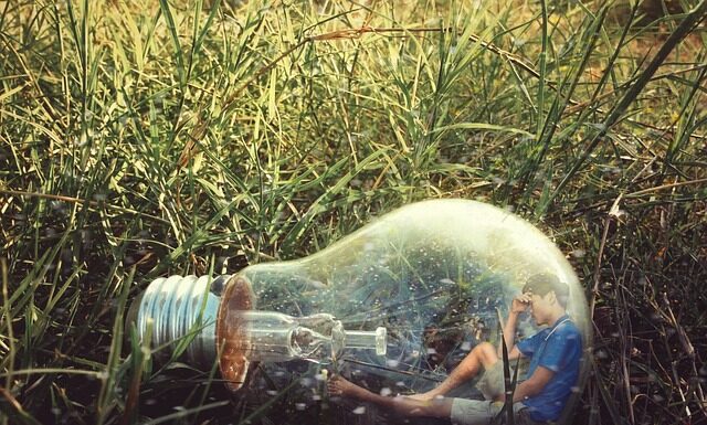 Co bardziej boli osa czy pszczołą? Co bardziej boli osa czy pszczołą?