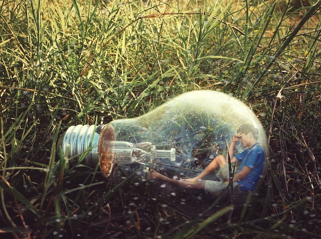 Co bardziej boli osa czy pszczołą? Co bardziej boli osa czy pszczołą?