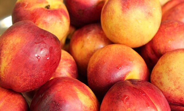 Jak przerobić nektarynki?