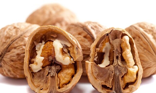 Czy łupiny od orzecha można palić?